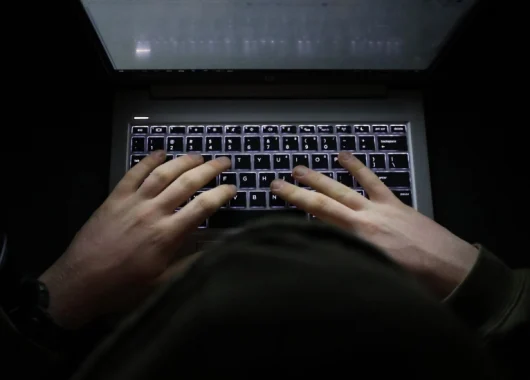 cyberbullying of environmental activists